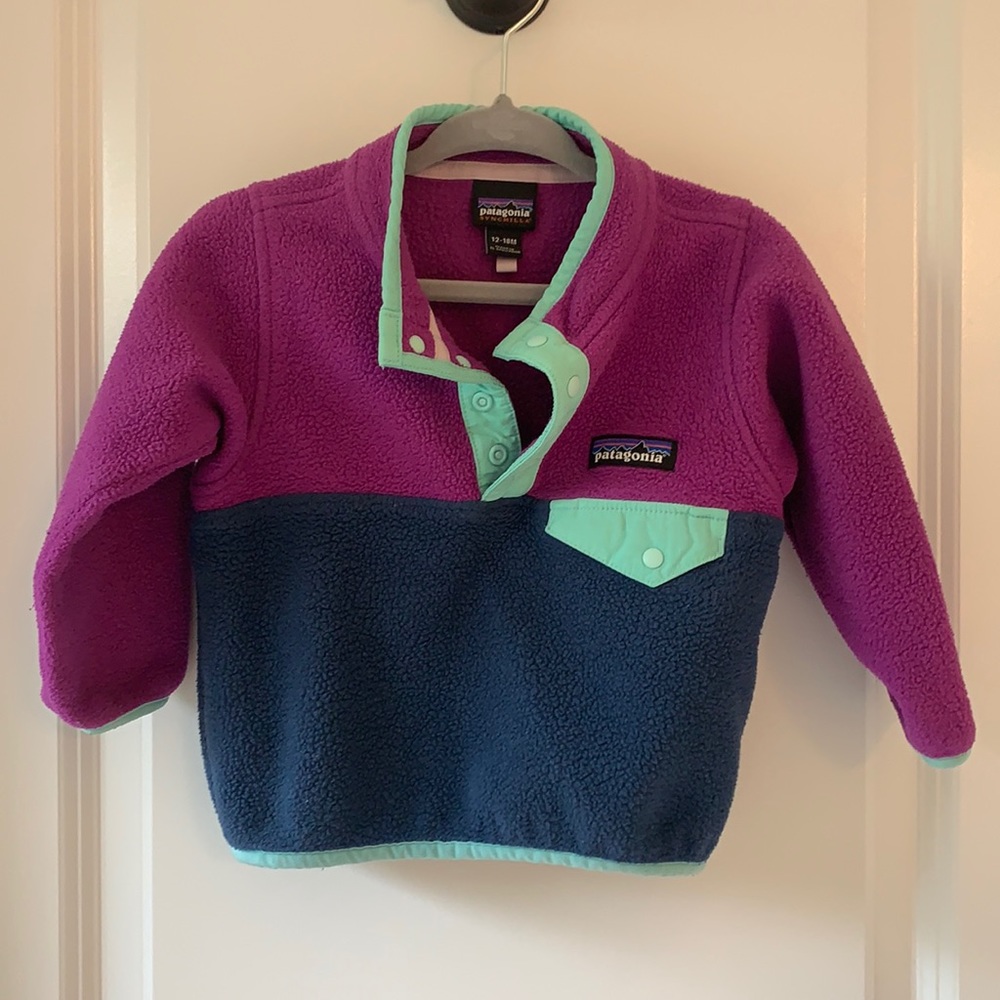 Patagonia Micro D Snap-T Fleece Pullover